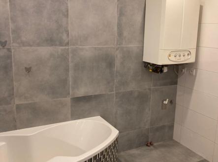 IMG_2391.jpg | Pronájem bytu, 2+1, 100 m²