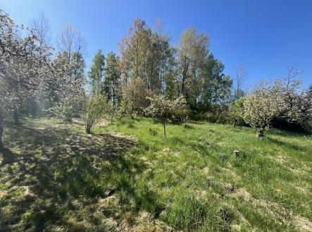 IMG_1648 (Kopírovat).JPG | Prodej - pozemek pro bydlení, 1 855 m²