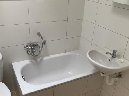 IMG_3714.jpg | Pronájem bytu, 2+1, 64 m²