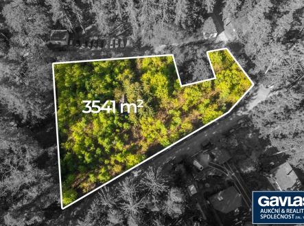 Pozemek, Jevany (9) hranice | Prodej - pozemek pro bydlení, 3 541 m²