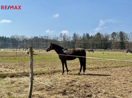 img-4364.jpeg | Prodej - pozemek, ostatní, 166 477 m²