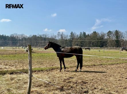 img-4364.jpeg | Prodej - pozemek, ostatní, 166 477 m²