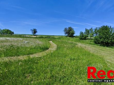 IMG_20260525_141500 | Prodej - pozemek pro bydlení, 3 053 m²