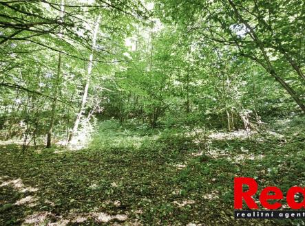 IMG_20250713_124642 | Prodej - pozemek, zahrada, 1 173 m²