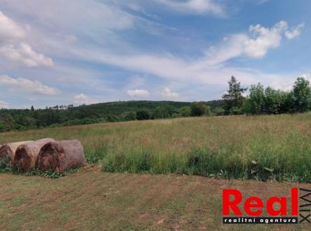 foto_5 - pozemek Velenov | Prodej - pozemek pro bydlení, 37 768 m²