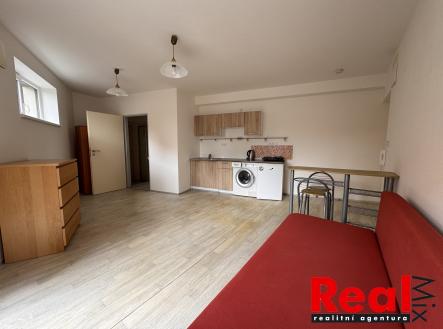 IMG_3069 | Pronájem bytu, 1+kk, 25 m²