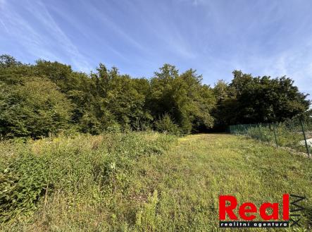 IMG_4895 | Prodej - pozemek pro bydlení, 911 m²