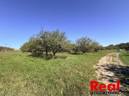 IMG_0161 | Prodej - pozemek pro bydlení, 3 129 m²