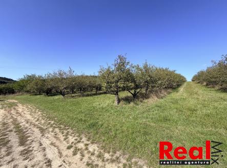 IMG_0164 | Prodej - pozemek pro bydlení, 3 129 m²