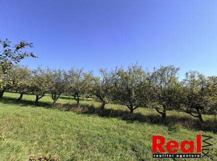 IMG_0155 | Prodej - pozemek pro bydlení, 1 043 m²