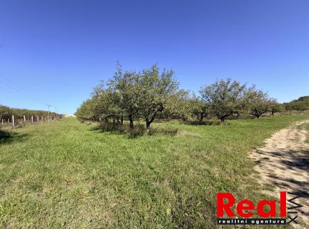 IMG_0159 | Prodej - pozemek pro bydlení, 1 043 m²