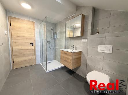 IMG_2194 | Pronájem bytu, 2+kk, 65 m²