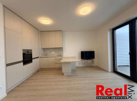 IMG_2586 | Pronájem bytu, 1+kk, 45 m²