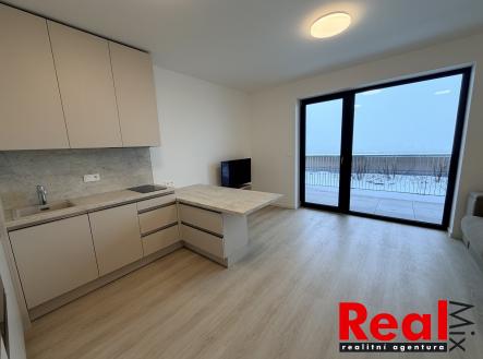 IMG_2589 | Pronájem bytu, 1+kk, 45 m²