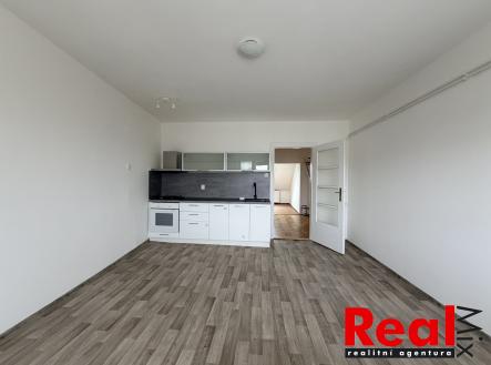 IMG_3103 | Pronájem bytu, 3+kk, 65 m²