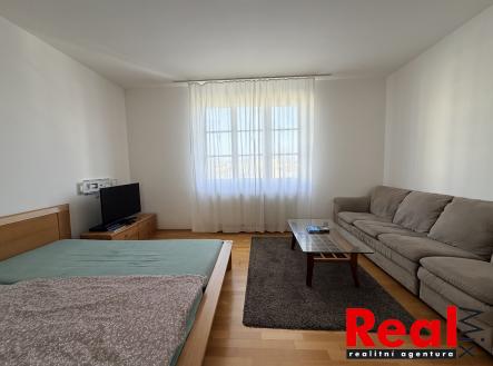 IMG_3802 | Pronájem bytu, 1+1, 55 m²