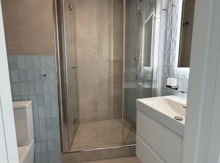 IMG_4938 | Pronájem bytu, 2+kk, 41 m²