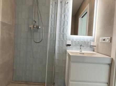 IMG_4956 | Pronájem bytu, 2+kk, 41 m²