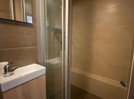 IMG-7593 | Pronájem bytu, 1+kk, 30 m²