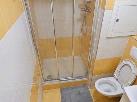 4 | Pronájem bytu, 1+kk, 28 m²