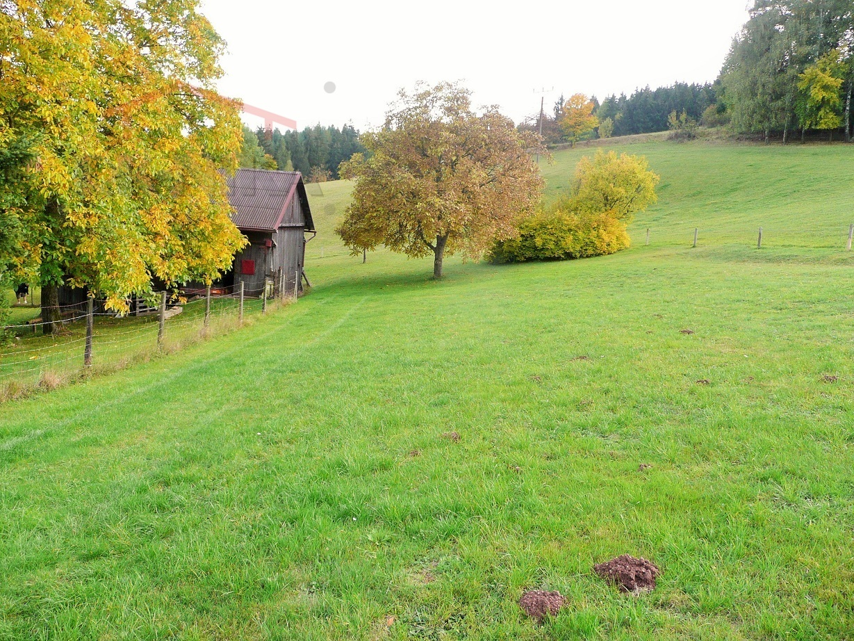 foto: 2
