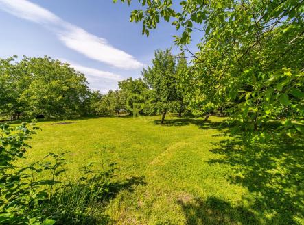 Prodej - pozemek pro bydlení, 960 m²