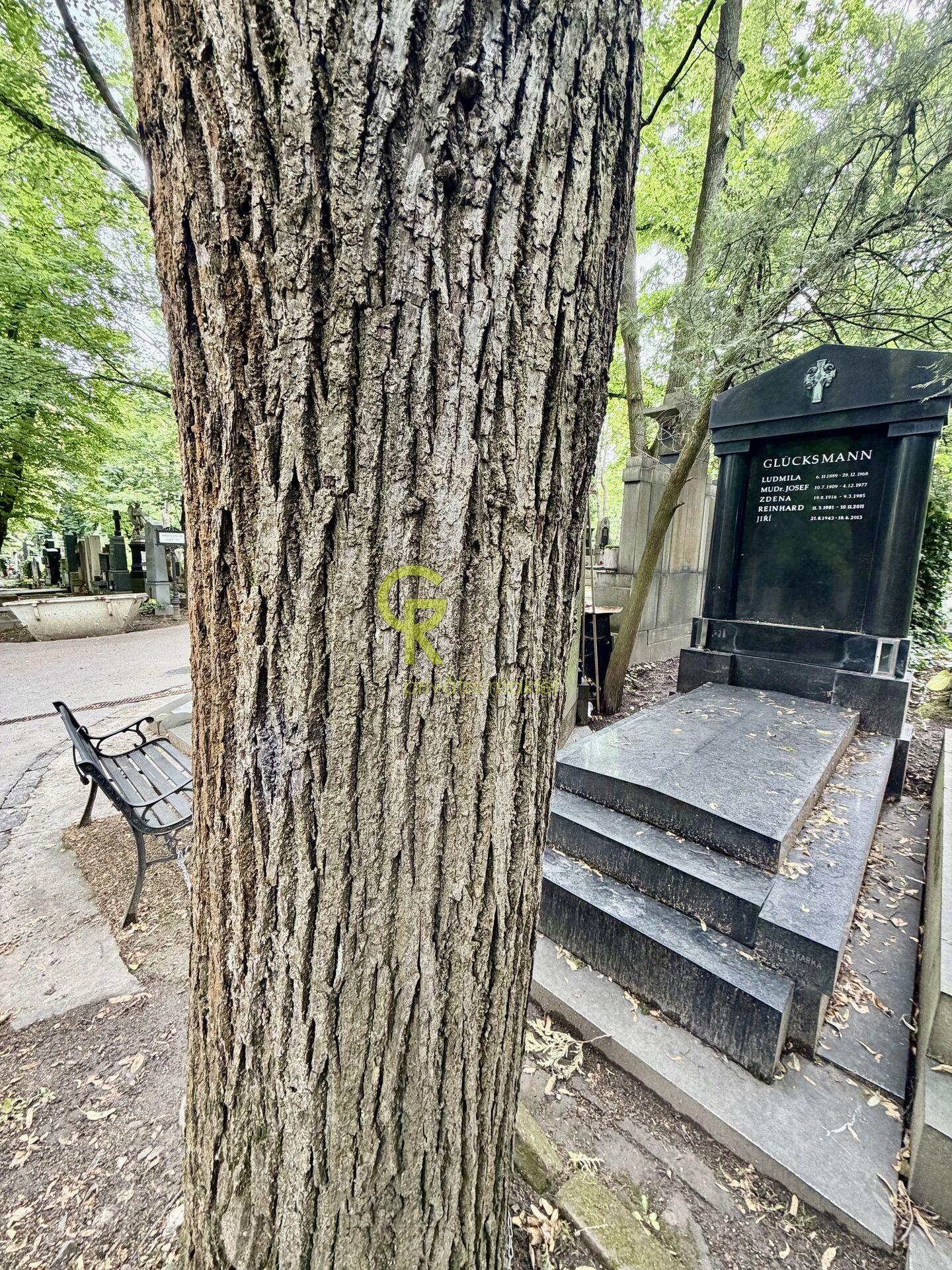 Reprezentativní rodinná hrobka na Olšanských hřbitovech – Praha 3
