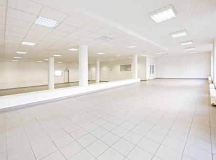 Pronájem - obchodní prostor, 438 m²
