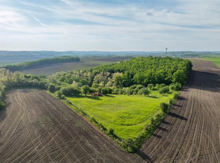 . | Prodej - zemědělský objekt, 29 241 m²