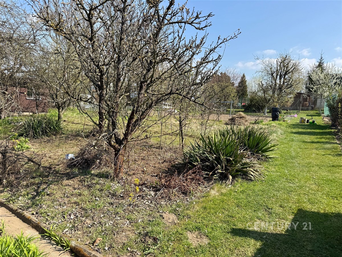 Prostorná zahrada s travnatou plochou, vzrostlými keři a ovocnými stromy, ideální pro rodinné aktivity a zahradničení, v klidném prostředí.