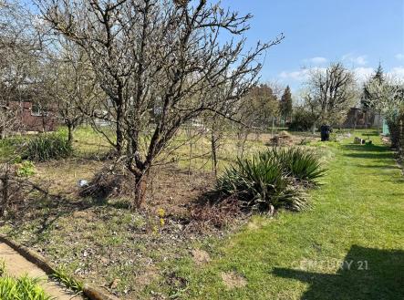 Prodej - pozemek, zahrada, 266 m² obrázek