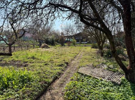 Zahrada s ovocnými stromy a zelení, nacházející se v klidné lokalitě. Vhodná pro rekreační využití nebo zahradničení. | Prodej - pozemek, zahrada, 266 m²