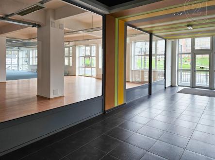 . | Pronájem - obchodní prostor, 255 m²