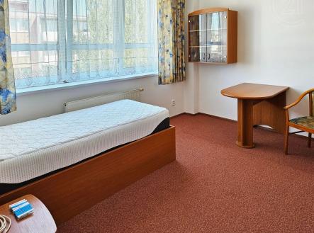 pokoj / ložnice s radiátor, koberec, a přirozené světlo | Pronájem - hotel, 42 m²