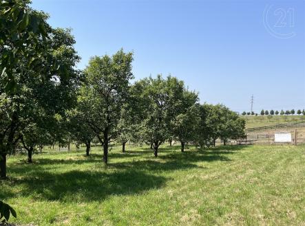 Prodej - pozemek pro bydlení, 1 269 m² obrázek