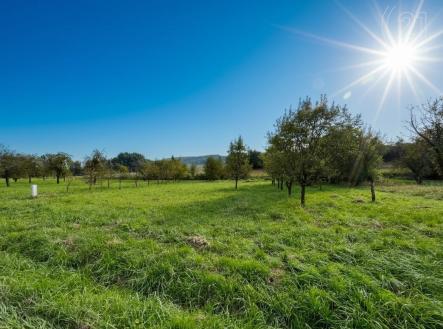 . | Prodej - pozemek pro bydlení, 1 308 m²