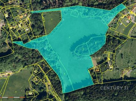 . | Prodej - pozemek, les, 5 952 m²