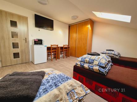 . | Pronájem bytu, 1+kk, 25 m²