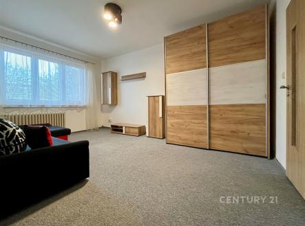 Pronájem bytu, 2+1, 55 m² obrázek