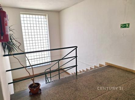 . | Pronájem - kanceláře, 18 m²