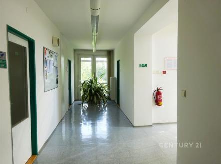 . | Pronájem - kanceláře, 32 m²