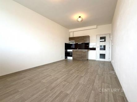 Prostorný obývací pokoj s moderní kuchyní, laminátová podlaha, vestavěné skříně, minimalistický styl | Pronájem bytu, 1+kk, 28 m²