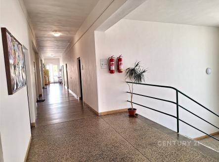 . | Pronájem - kanceláře, 17 m²