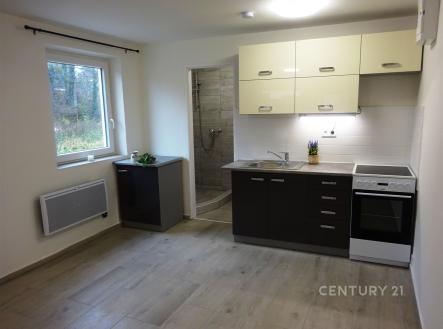 Pronájem bytu, 1+kk, 26 m² obrázek