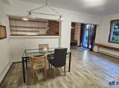 Pronájem bytu, 1+kk, 60 m²