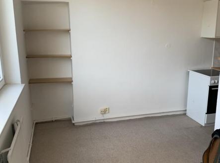 IMG_0272.jpg | Pronájem bytu, 1+kk, 22 m²