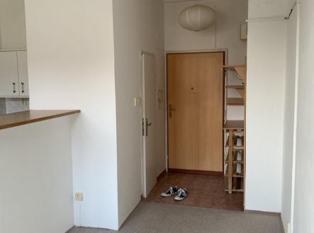 IMG_0270.jpg | Pronájem bytu, 1+kk, 22 m²