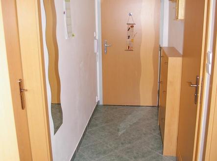 07 - Chodba - IMGP4376.JPG | Pronájem bytu, 2+kk, 47 m²