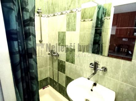 foto: 4 | Pronájem bytu, 1+1, 46 m²