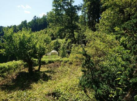 DSC_2158.JPG | Prodej - chata/rekreační objekt, 15 m²